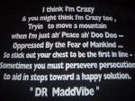 画像4: Dr.Maddvibe×Chibian Tシャツ I'm Crazy ★アンジェロムーア FISHBONE (4)