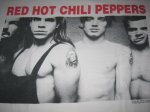 画像3: RED HOT CHILI PEPPERS レッチリ マザーズミルク 1990年 Tシャツ (3)