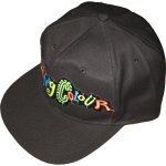 画像1: デッドストック Living Colour リヴィングカラー キャップ 帽子 90年代 (1)
