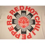 画像3: 【過去に販売した商品です】古着 RED HOT CHILI PEPPERS レッチリ アスタリスク Tシャツ 90's/120615 (3)
