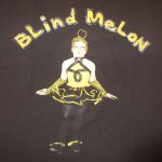 画像3: 【過去に販売した商品/在庫なし/SOLD OUT】古着 BLIND MELON ブラインドメロン crammed in a van tour Tシャツ BLK 90's / 160827 (3)