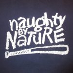 画像3: 古着 90's naughty by nature ネイティバイネイチャー POVERTY'S PARADISE Tシャツ raptee NVY / 171027 (3)