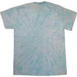 画像2: 新品 00's 新品 Kalen Blackburn カレンブラックバーン CYCLOPIAN PEAR PICKER Tシャツ タイダイ a / 180804 (2)