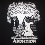 画像3: デッドストック 90's JANE'S ADDICTION ジェーンズアディクション KETTLE WHISTLE 長袖 Tシャツ BLK / 181101 (3)