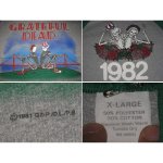 画像3: GRATEFUL DEAD グレイトフルデッド 1980年 ラグランTシャツ (3)