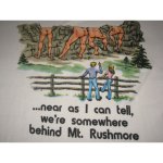 画像3: 【過去に販売した商品です】古着 Mt.RUSHMORE ラシュモア お尻 ギャグ リンガー Tシャツ ヴィンテージ 70年代 (3)