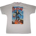 画像1: DEF LEPPARD デフレパード Hysteria 1987年 Tシャツ (1)