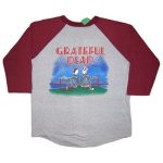 画像1: GRATEFUL DEAD グレイトフルデッド ラグラン Tシャツ 1981年 (1)