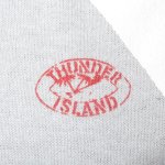 画像4: 古着 80's THUNDER ISLAND スニーカープリント Tシャツ GRY / 190717 (4)