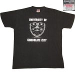 画像1: 【過去に販売した商品/在庫なし/SOLD OUT】古着 P-FUNK UNIVERSITY OF CHOCOLATE CITY Tシャツ 90's / 201013 (1)