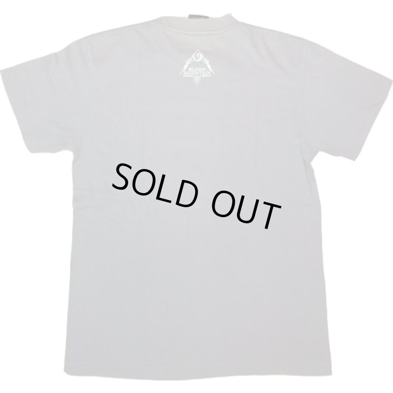 画像3: USED 00's MASTODON マストドン BLOOD MOUNTAIN Tシャツ CHA / 210407 (3)