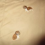 画像4: USED 00's Ralph Lauren ラルフローレン ブルドッグ刺繍 チノショーツ BEI / 210713 (4)