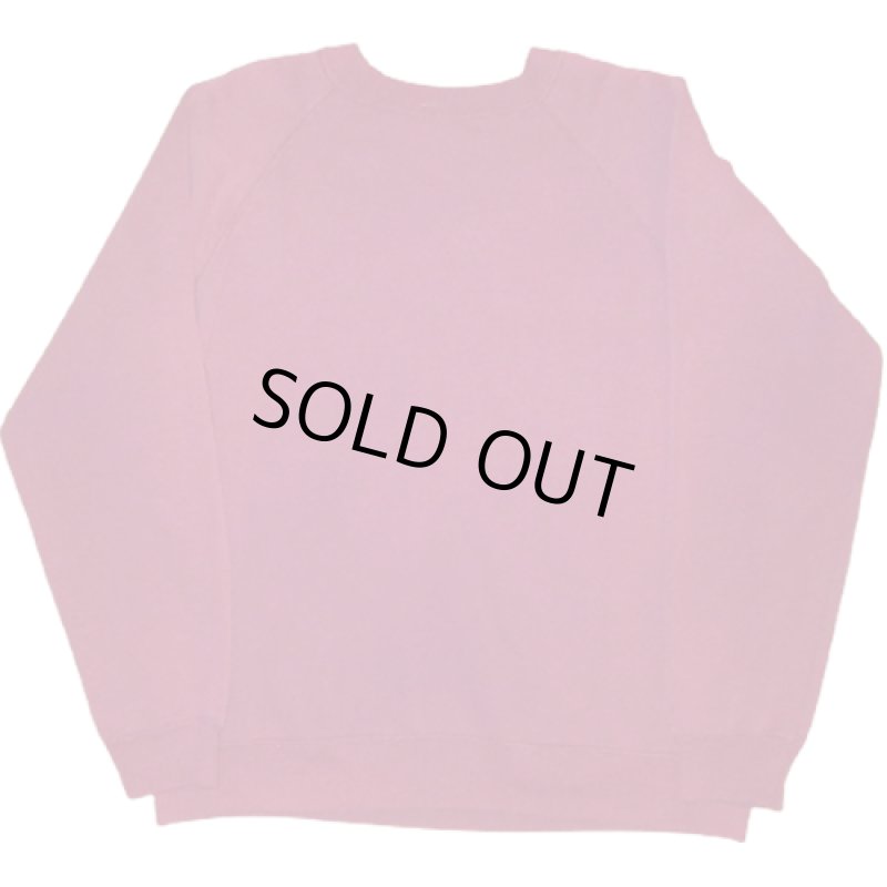 画像2: USED 90's FRESH JIVE フレッシュジャイブ クルー スウェット ブート BUG / 211102 (2)