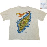 画像2: USED 90's RHODES ギリシャ ロードス島 スーベニア Tシャツ 2 GRY / 220811 (2)