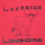 画像4: USED 90's LAKESIDE LONGHORNS カレッジプリント スウェット RED / 230124 (4)