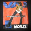 モーリーVAI-1 限定品 Amazon | Morley BAD HORSIE スイッチレス・ワウペダル【国内