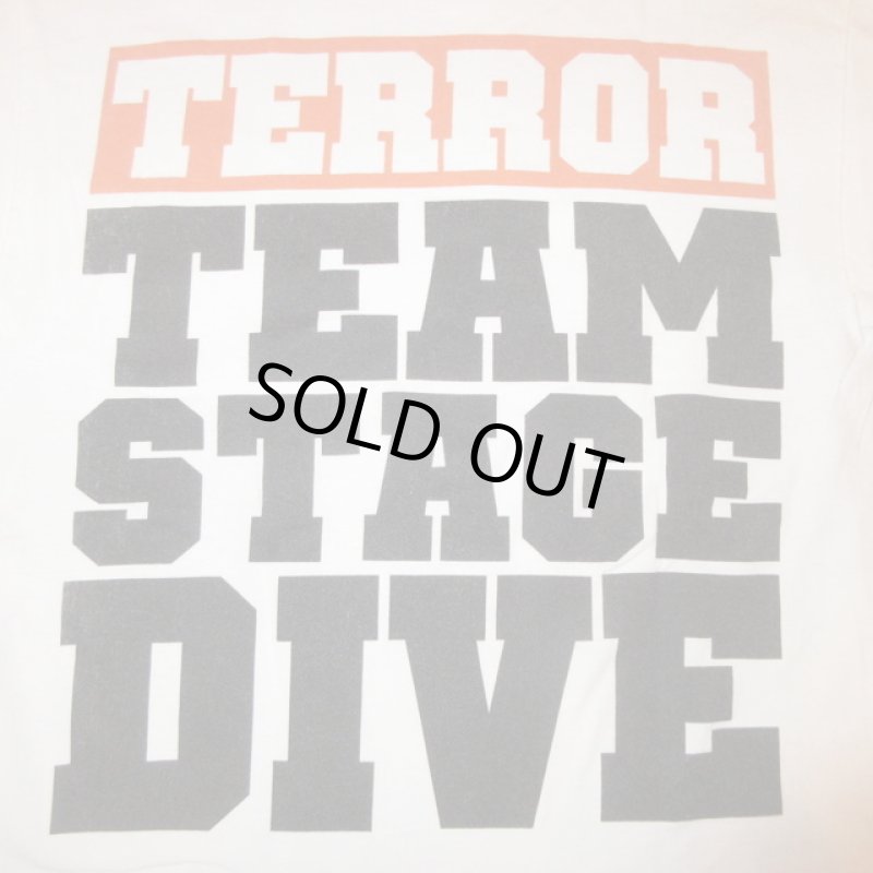 画像1: USED 00's TERROR テラー TEAM STAGE DIVE ハードコア  Tシャツ WHT / 240304 (1)