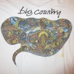 画像1: USED 90's BIG COUNTRY ビッグカントリー No Place Like Home スコットランド ロック Tシャツ WHT / 240515 (1)