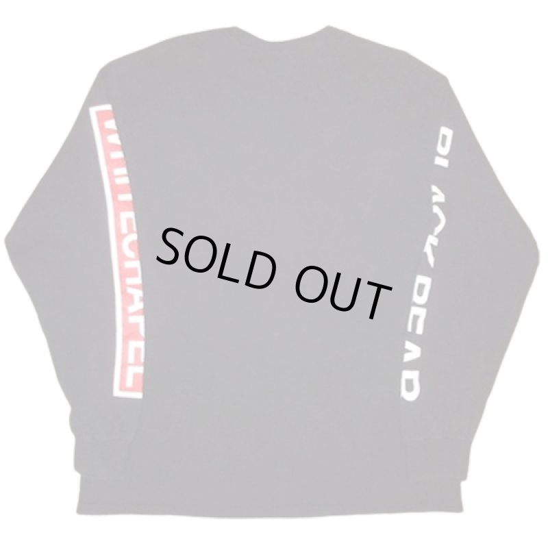 画像2: USED 00's WHITECHAPEL ホワイトチャペル デスコア 長袖 Tシャツ BLK / 240515 (2)