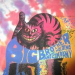 画像4: USED 90's BIG BROTHER AND THE HOLDING COMPANY ジャニスジョプリン タイダイ Tシャツ MIX / 240702 (4)