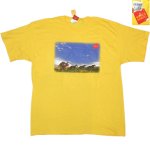 画像2: DEADSTOCK 00's WELLS FARGO ウェルズファーゴ 企業物 Tシャツ YEL / 240618 (2)