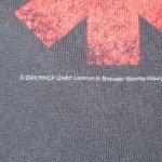 画像4: USED 00's RED HOT CHILI PEPPERS レッドホットチリペッパーズ SA Tシャツ BLK / 240801 (4)