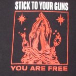 画像4: USED 00's STICK TO YOUR GUNS YOU ARE FREE USハードコア Tシャツ BLK / 250707 (4)
