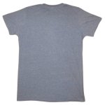 画像3: USED 00's CAGE THE ELEPHANT ケイジジエレファント Tシャツ GRY / 250804 (3)