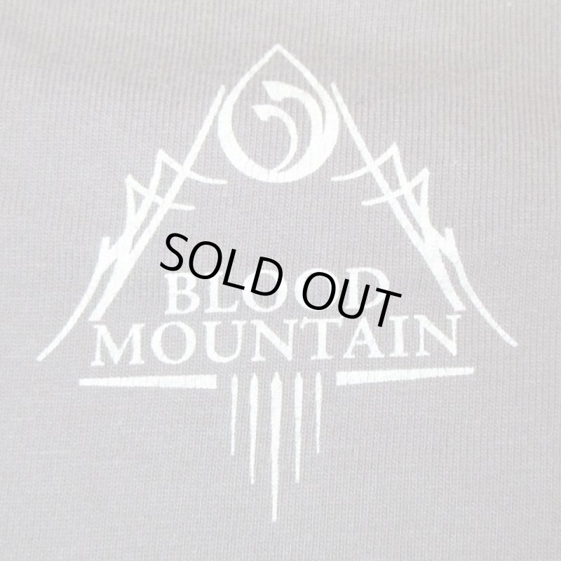 画像4: USED 00's MASTODON マストドン BLOOD MOUNTAIN Tシャツ CHA / 210407 (4)