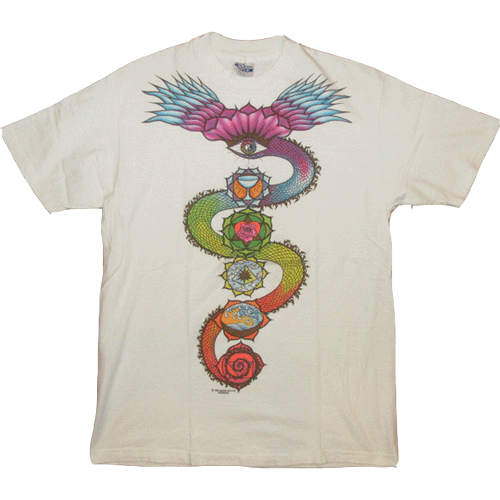 画像1: 【過去に販売した商品です】古着 GRATEFUL DEAD グレイトフルデッド DRAGON Tシャツ 80's/160507 (1)