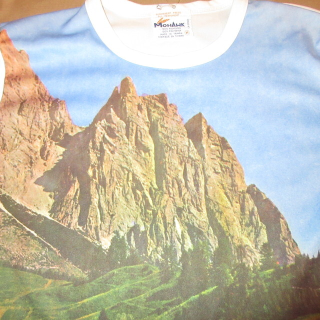 画像1: USED 70's MOHAWK ピクチャー 風景 Tシャツ WHT / 220719 (1)